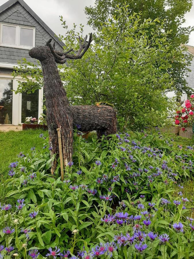 Villa Skylo Winterberg Eksteriør bilde