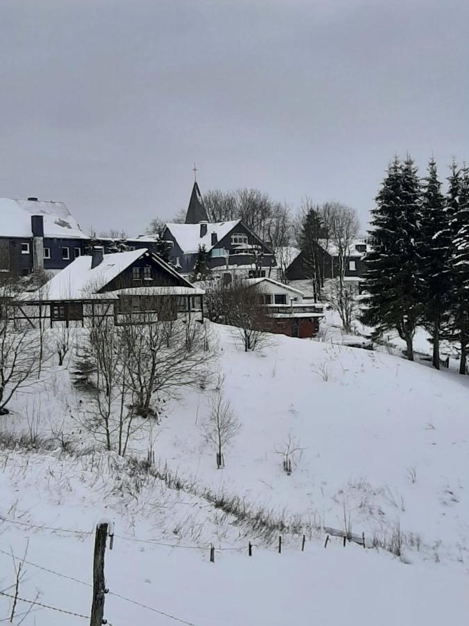 Villa Skylo Winterberg Eksteriør bilde