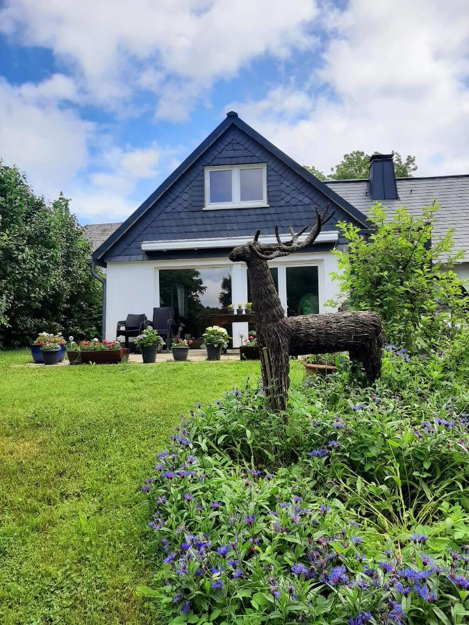 Villa Skylo Winterberg Eksteriør bilde