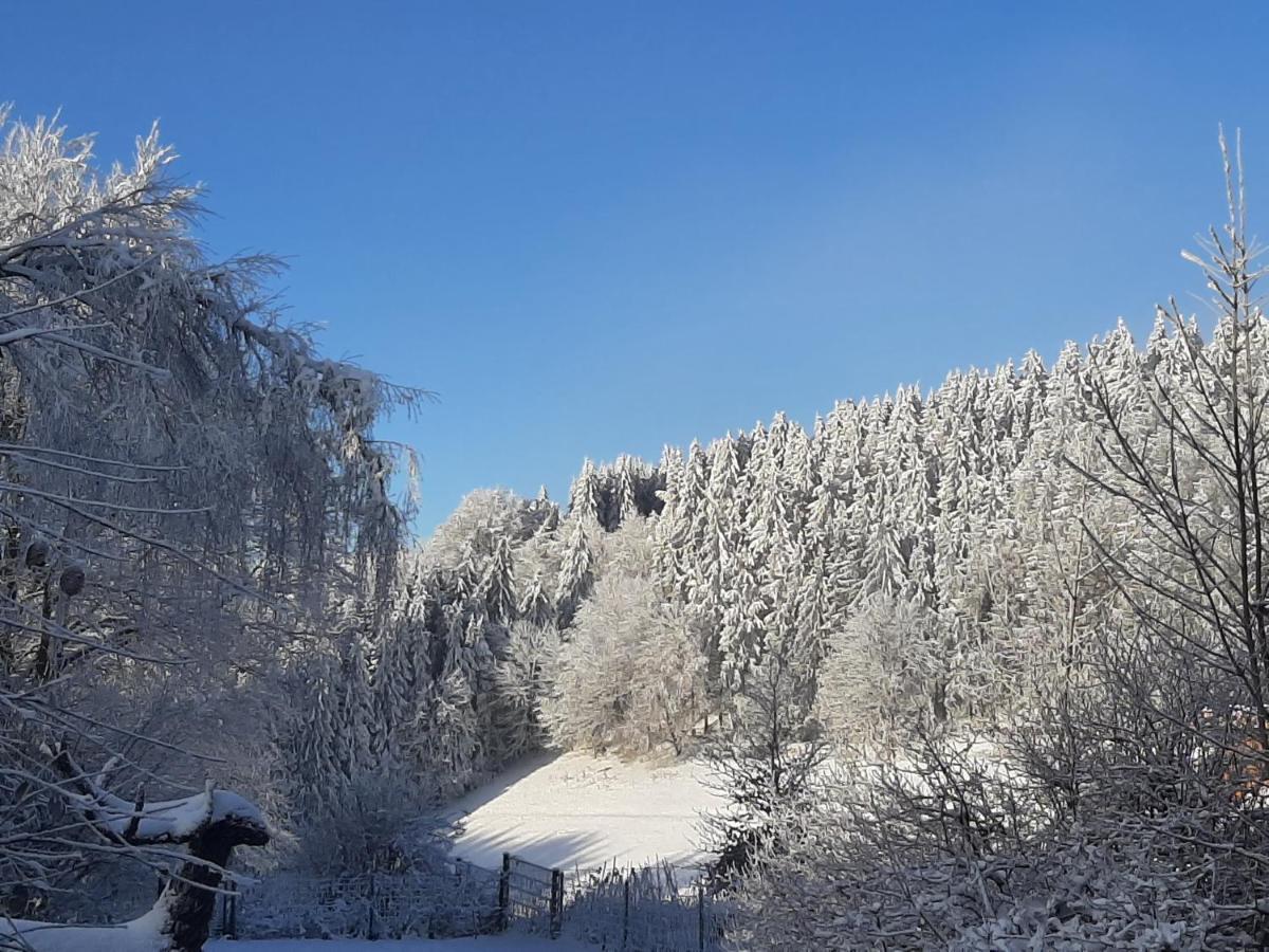 Villa Skylo Winterberg Eksteriør bilde
